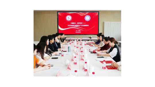 巾幗智力 攜手同行——京津女企業家攜手舉辦助力新質生產力交流座談會