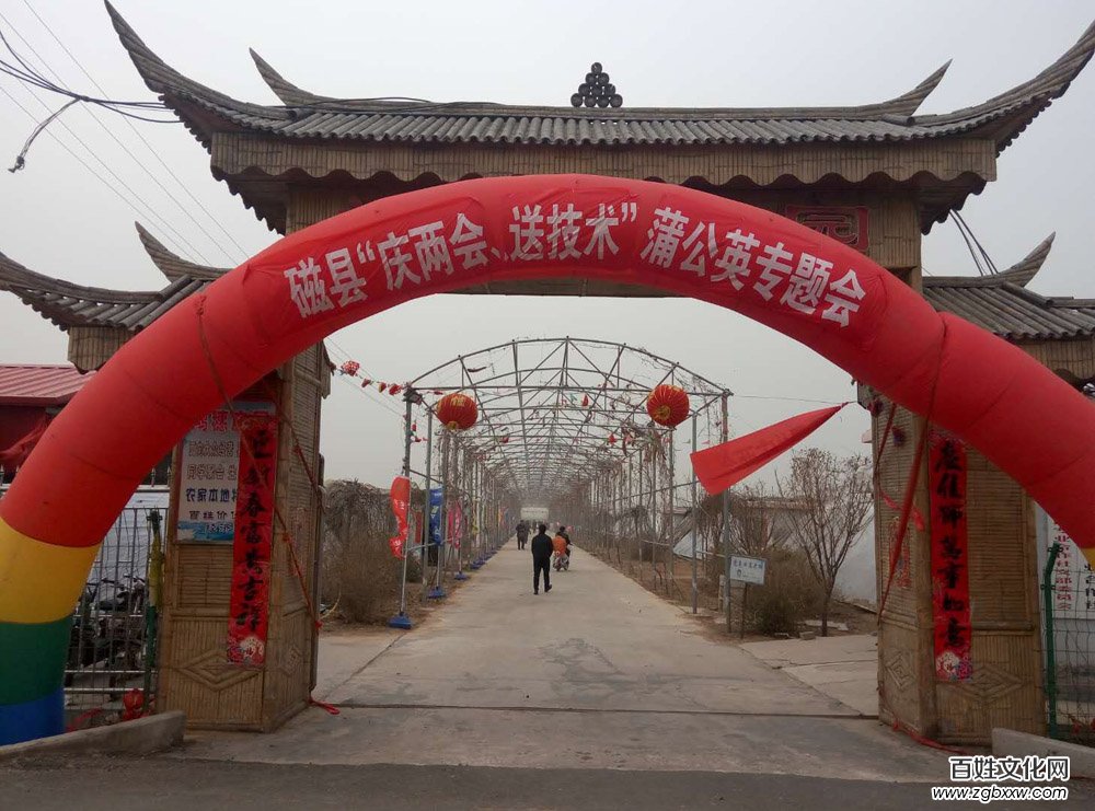 河北磁縣舉辦“慶兩會、送技術(shù)”蒲公英專題培訓會