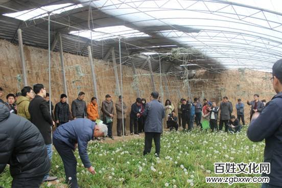 河北磁縣舉辦“慶兩會、送技術(shù)”蒲公英專題培訓會