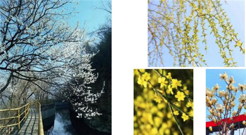 紅旗渠風景區有序開放 迎來首批游客