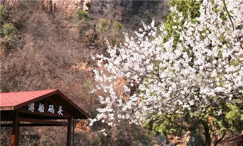 紅旗渠風景區有序開放 迎來首批游客