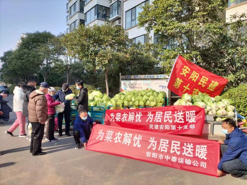 安陽民建會員愛心接力為社區捐贈蔬菜