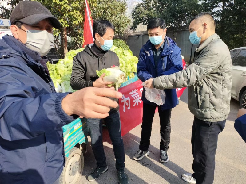安陽民建會員愛心接力為社區捐贈蔬菜