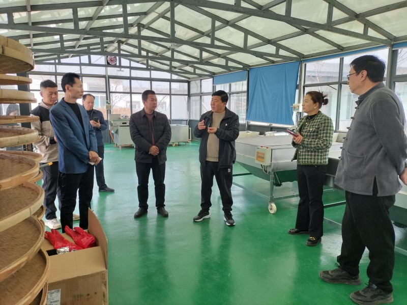 中媒企業(yè)文化發(fā)展工作委員會一行到河北蒲公英產(chǎn)業(yè)基地調研