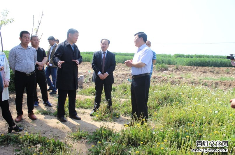 磁縣“蒲公英產(chǎn)學研基地”、“蒲公英制品研發(fā)基地” 正式掛牌成立