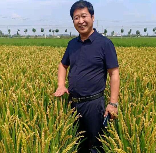 碳氫核肥 賦能鄉村振興加速度 碳氫核肥 賦能鄉村振興加速度